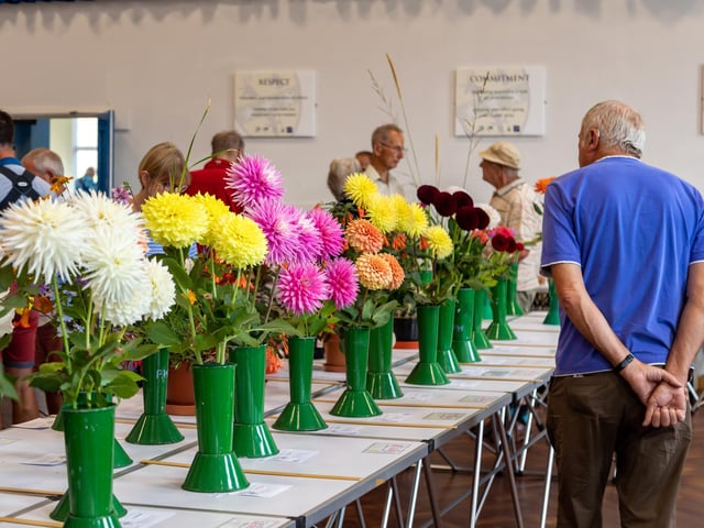 Inspecting the blooms at the Purbrook Horticultural Society summer show. Picture: Mike Cooter (210822)