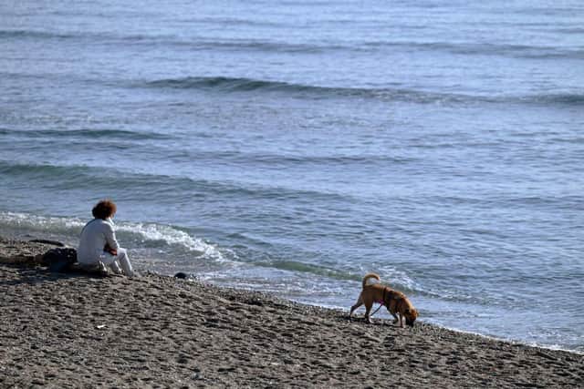 Dogs will be banned from certain beaches in the Portsmouth area from next month.