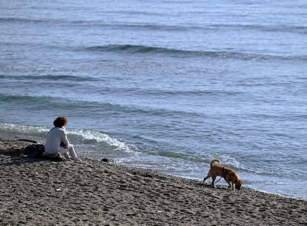 Dogs will be banned from certain beaches in the Portsmouth area from next month.