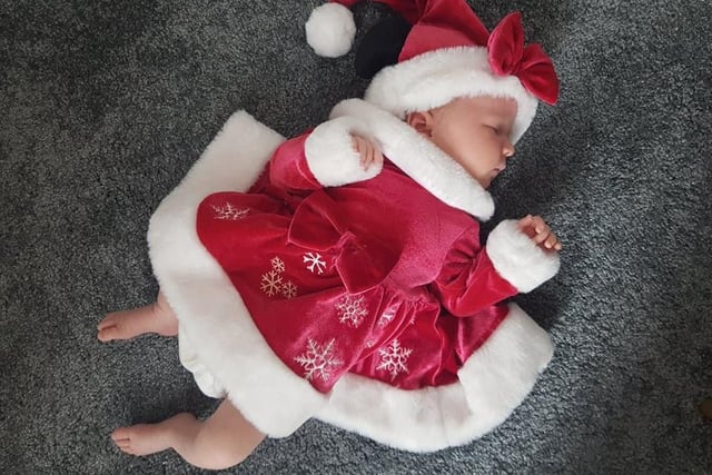 Five-week-old Layla. Picture: Faye Bishop