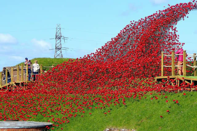 The poppy sculpture Wave by artist Paul Cummins and designer Tom Piper at Fort Nelson in Portsmouth in 2018 Picture: Edwin Amey