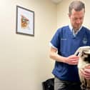 James Poff from Cedar Vets scans a cat for a microchip