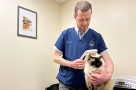 James Poff from Cedar Vets scans a cat for a microchip