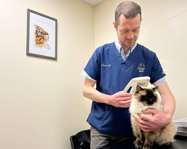 James Poff from Cedar Vets scans a cat for a microchip