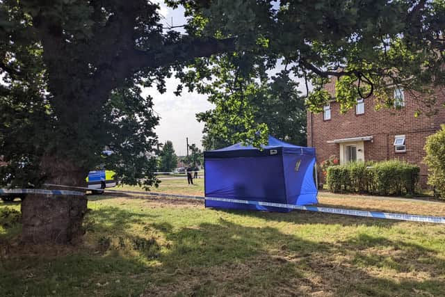 The murder investigation scene in Botley Drive, Leigh Park on July 17, 2022
Picture: Emily Jessica Turner