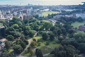 Victoria Park in Portsmouth pictured last year - the council is planting more trees across the city Picture: Neil @ www.skymarinerdrone.com
