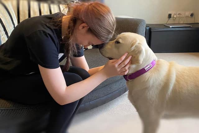 Autism assistance dog Lola with her human partner