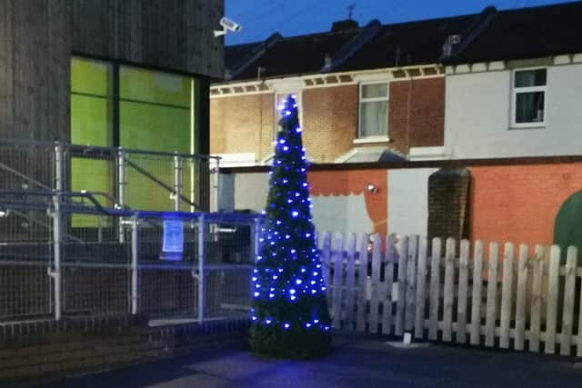 One of Milton Park Primary School's four donated Christmas trees lit up at night.
