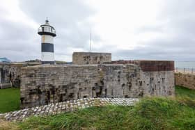 Southsea Castle Picture: Chris Moorhouse