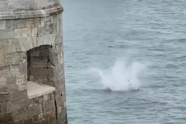 A youth is seen leaping from Old Portsmouth's Hot Walls. Photo: Twitter/Proud of Portsmouth