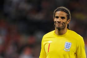 David James  (Photo by Michael Regan/Getty Images)