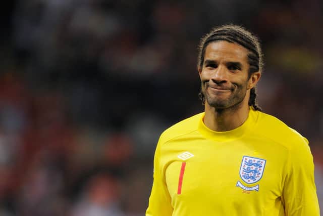 David James (Photo by Michael Regan/Getty Images)
