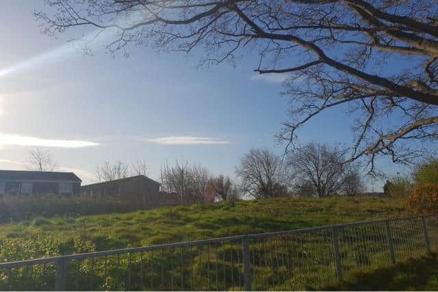 The proposed development site next to Grove Road, proposed development site.