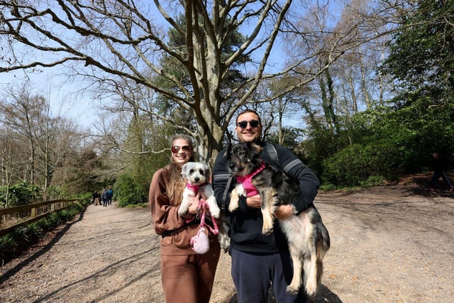 Pictured is David and Rebecca Naylor with dogs Daisy and Abba.
Picture: Sam Stephenson.