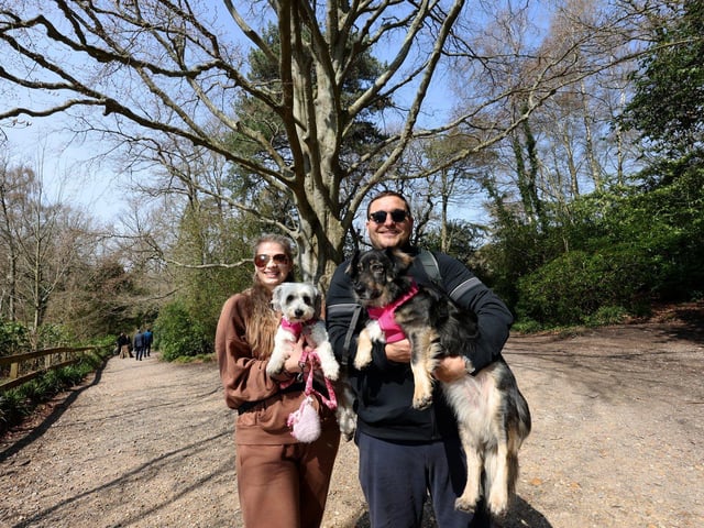 Pictured is David and Rebecca Naylor with dogs Daisy and Abba.
Picture: Sam Stephenson.
