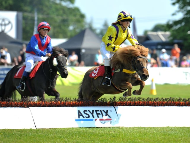 Equestrian events at the South of England Show.