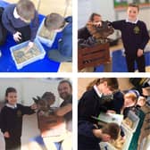 Brave children meeting our animatronic dinosaurs