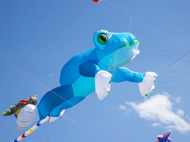 Pictured - Incredible kites on display at the Portsmouth Kite FestivalPhotos by Alex Shute