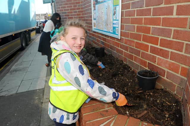 Year 2 pupils from Bramble Infant School and Nursery in Southsea, planted flowers outside the Co-op in Fawcett Road, Southsea, on Tuesday, March 23, as part of the Wilder Portsmouth scheme. Pictured is: Layla Staley (7). Picture: Sarah Standing (230321-5320)