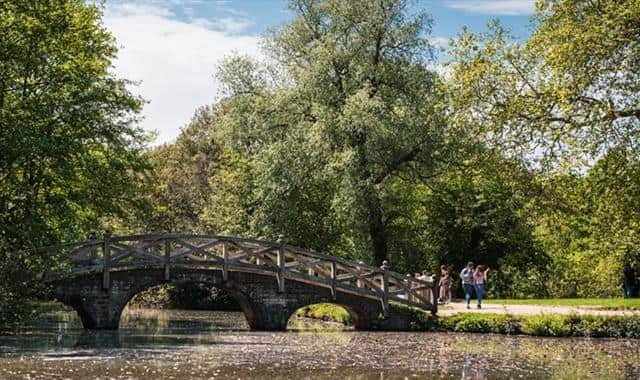 Staunton Country Park in Leigh Park, Havant