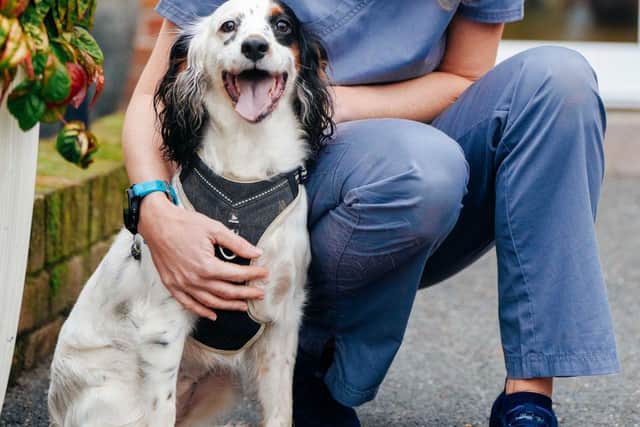 Lily, with vet Ruth Brownlee of St Peter's Vets, has made a full recovery after swallowing a wooden kebab skewer