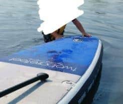 Gosport police are on the look out for this stolen paddle board.