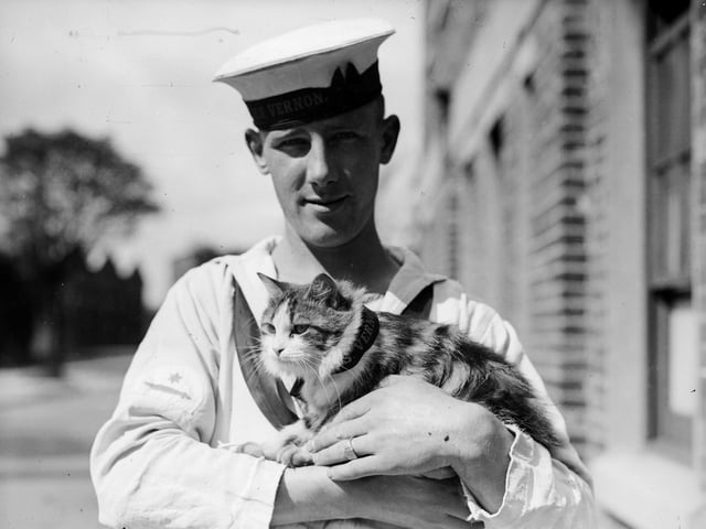 5th September 1931:  A sailor from the naval vessel HMS Vernon holding the ship's feline mascot, Minnie during a stay at Portsmouth.  (Photo by Fox Photos/Getty Images)