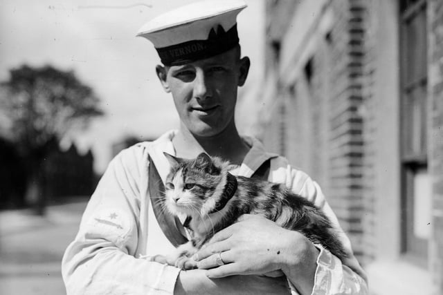 5th September 1931:  A sailor from the naval vessel HMS Vernon holding the ship's feline mascot, Minnie during a stay at Portsmouth.  (Photo by Fox Photos/Getty Images)