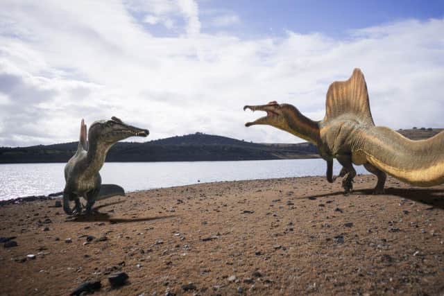 Two adult Spinosarus squaring up to each other on a riverbank. Walking with Dinosaurs Episode Number_ 2 - The River Dragon