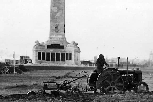 Southsea Common being ploughed for vegetable growing. Picture: Roger Young collection.