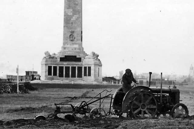Southsea Common being ploughed for vegetable growing. Picture: Roger Young collection.