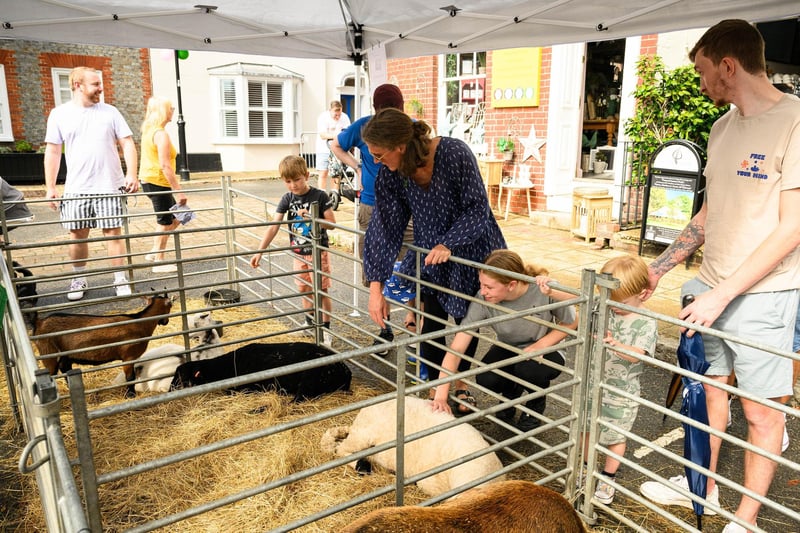 Pictured is: Children and adults enjoy the petting zoo at the taste of Wickham.
Picture: Keith Woodland (100921-14)