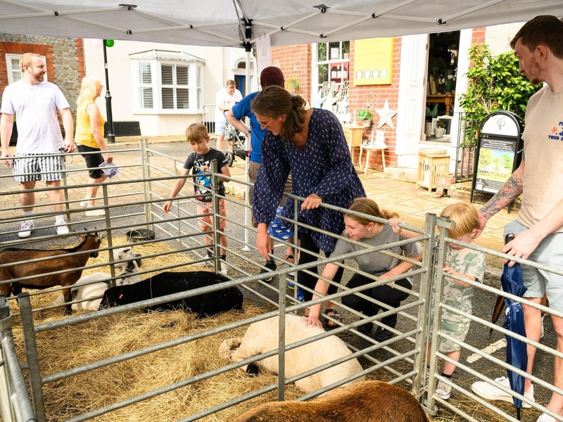 Pictured is: Children and adults enjoy the petting zoo at the taste of Wickham.
Picture: Keith Woodland (100921-14)