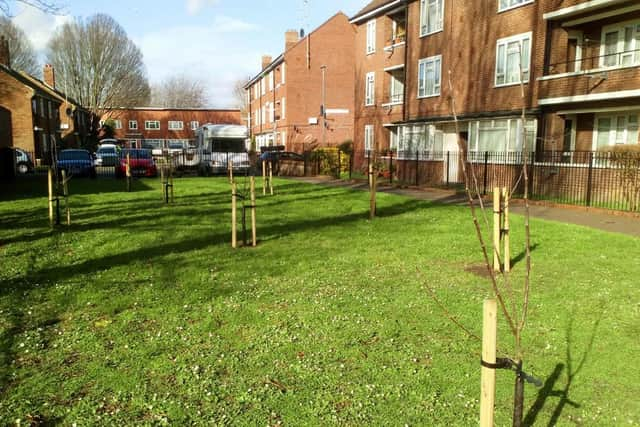 An example of pocket park set up in Victoria Street. Picture: Emma Loveridge