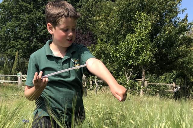 Arthur Harris, nine, looking for insects in the barley field.