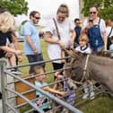Animal petting at Portchester Gala at Portchester Castle on August 3.