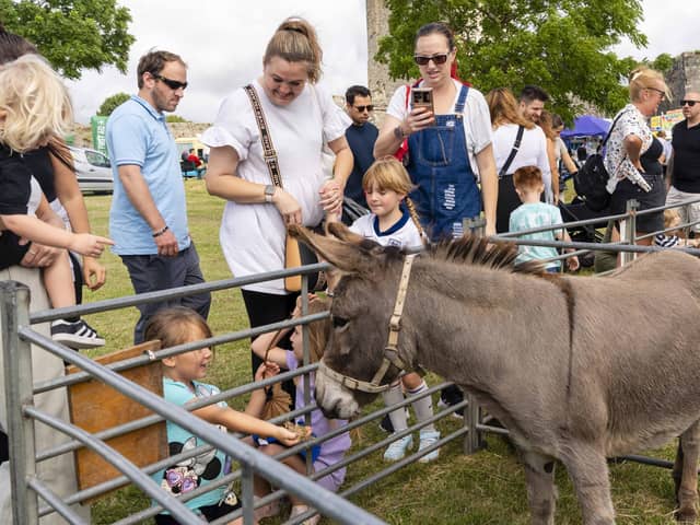 Animal petting at Portchester Gala at Portchester Castle on August 3.