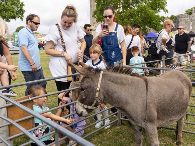 Animal petting at Portchester Gala at Portchester Castle on August 3.