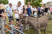 Animal petting at Portchester Gala at Portchester Castle on August 3.