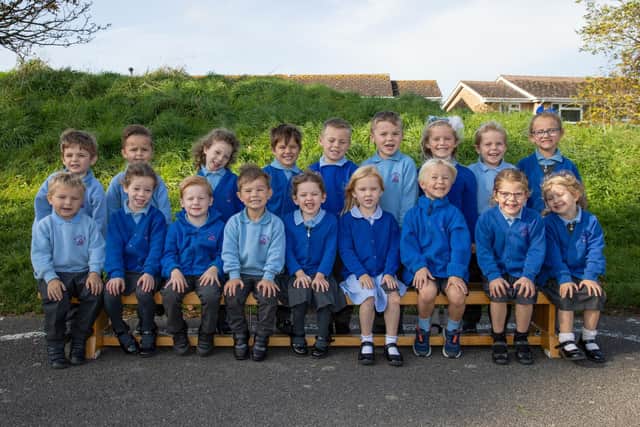 Bumblebees Class