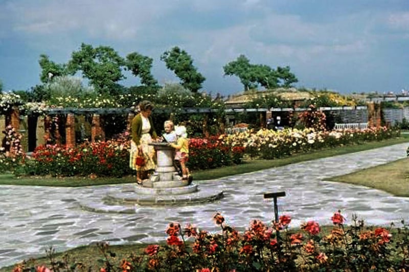 The Rose Garden. Lumps Fort, Southsea in 1960.
Picture: Courtesy of Helen Mabel Smith