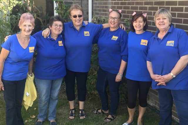 Cats Protection Gosport Town branch staff have looked back at another year of adoptions, rescues and more. Pictured: Gosport volunteers pre-lockdown