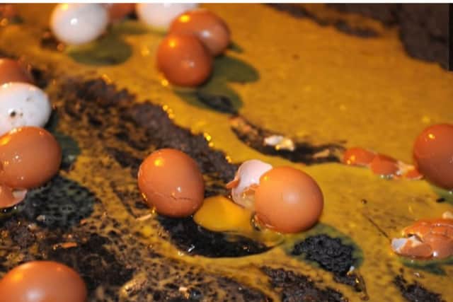 Eggs thrown by vandals. Picture: Havant Police