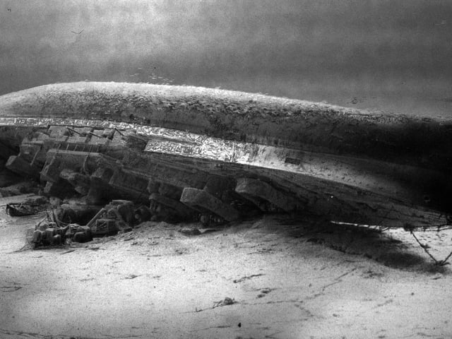 HMS Royal Oak on the seabed at Scapa Flow in the Orkney Islands, Scotland.
HMS Royal Oak was a Revenge-class battleship of the British Royal Navy. Launched in 1914 and completed in 1916, Royal Oak first saw action at the Battle of Jutland. In peacetime, she served in the Atlantic, Home and Mediterranean fleets, more than once coming under accidental attack. The ship drew worldwide attention in 1928 when her senior officers were controversially court-martialled. Attempts to modernise Royal Oak throughout her 25-year career could not fix her fundamental lack of speed, and by the start of the Second World War, she was no longer suited to front-line duty.
The wreck of Royal Oak, a designated war grave, lies in 100 feet of water with her hull 16 feet beneath the surface. In an annual ceremony marking the loss of the ship and crew, Royal Navy divers place a White Ensign underwater at her stern. Unauthorised divers are prohibited from approaching the wreck under the Protection of Military Remains Act 1986.