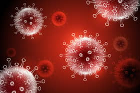 This is what coronavirus looks like. Picture: Shutterstock