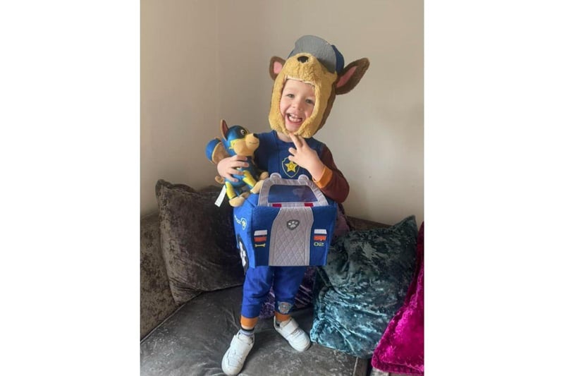 Children across Hampshire dressed to impress as they took part in World Book Day. From Oompa Loompas to the Very Hungry Caterpillar and even Miss Trunchball, there have been some amazing costumes.