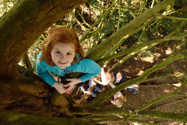 Children climbing a tree in the grounds of Mottisfont. ©National Trust Images/John Millar