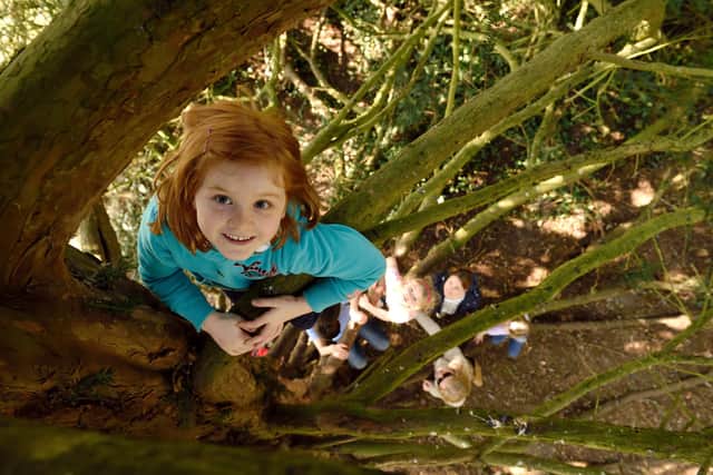 Children climbing a tree in the grounds of Mottisfont. ©National Trust Images/John Millar