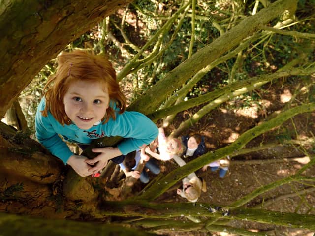 Children climbing a tree in the grounds of Mottisfont. ©National Trust Images/John Millar