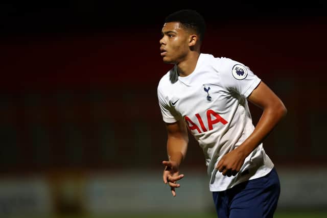 Portsmouth complete loan signing of young Tottenham Hotspur